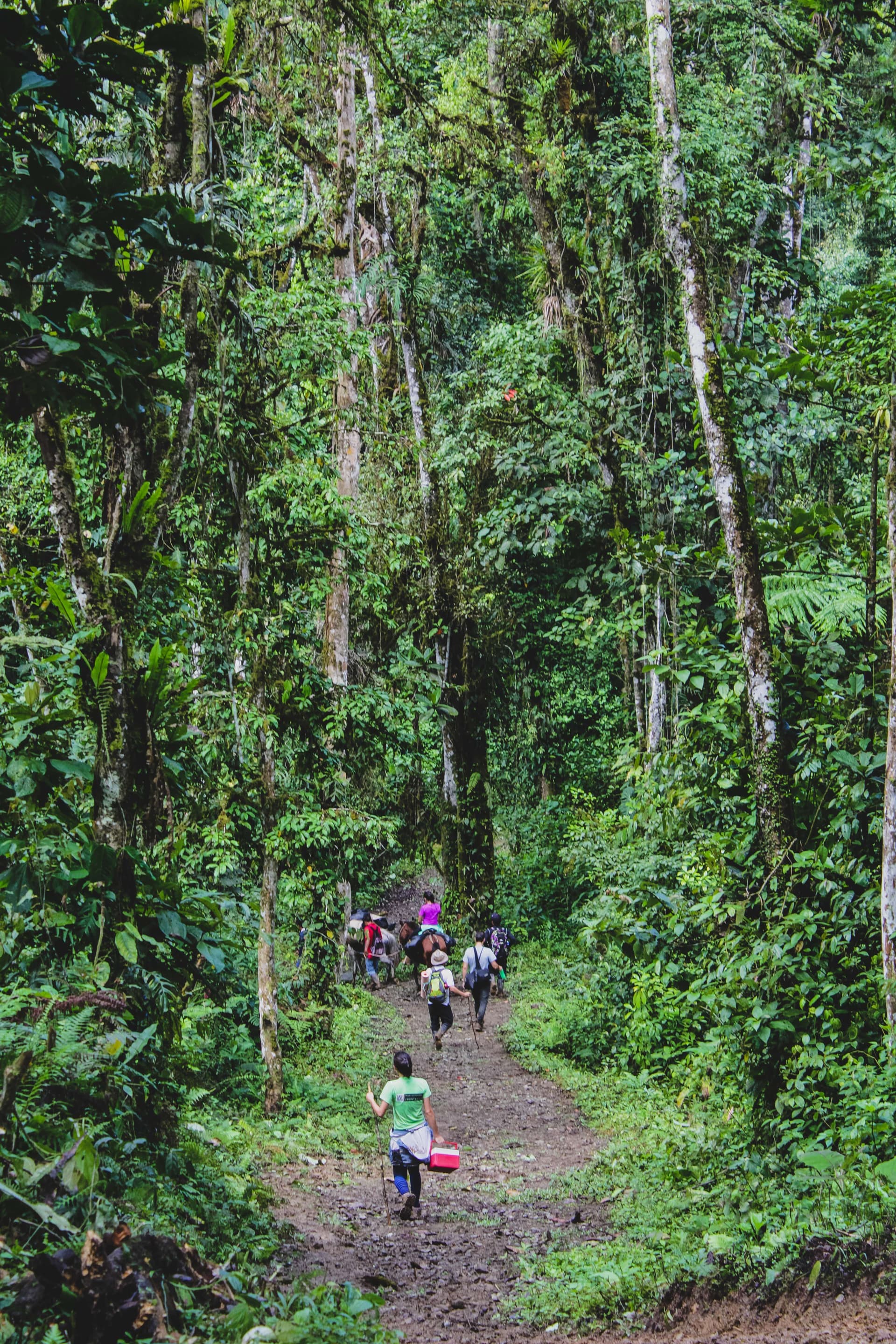 Property and lifestyle in Latin America 8