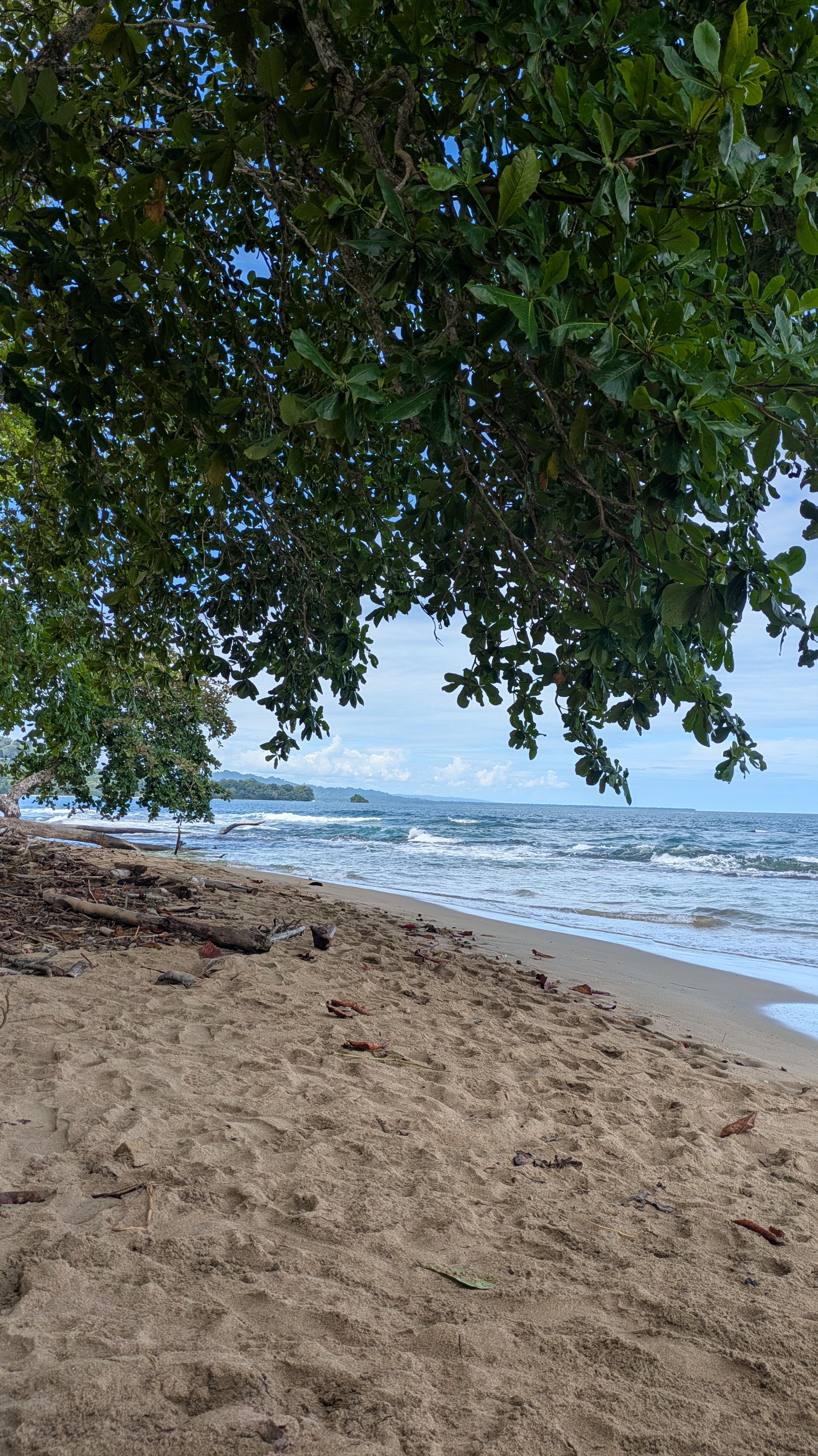 Property and lifestyle in Latin America 12