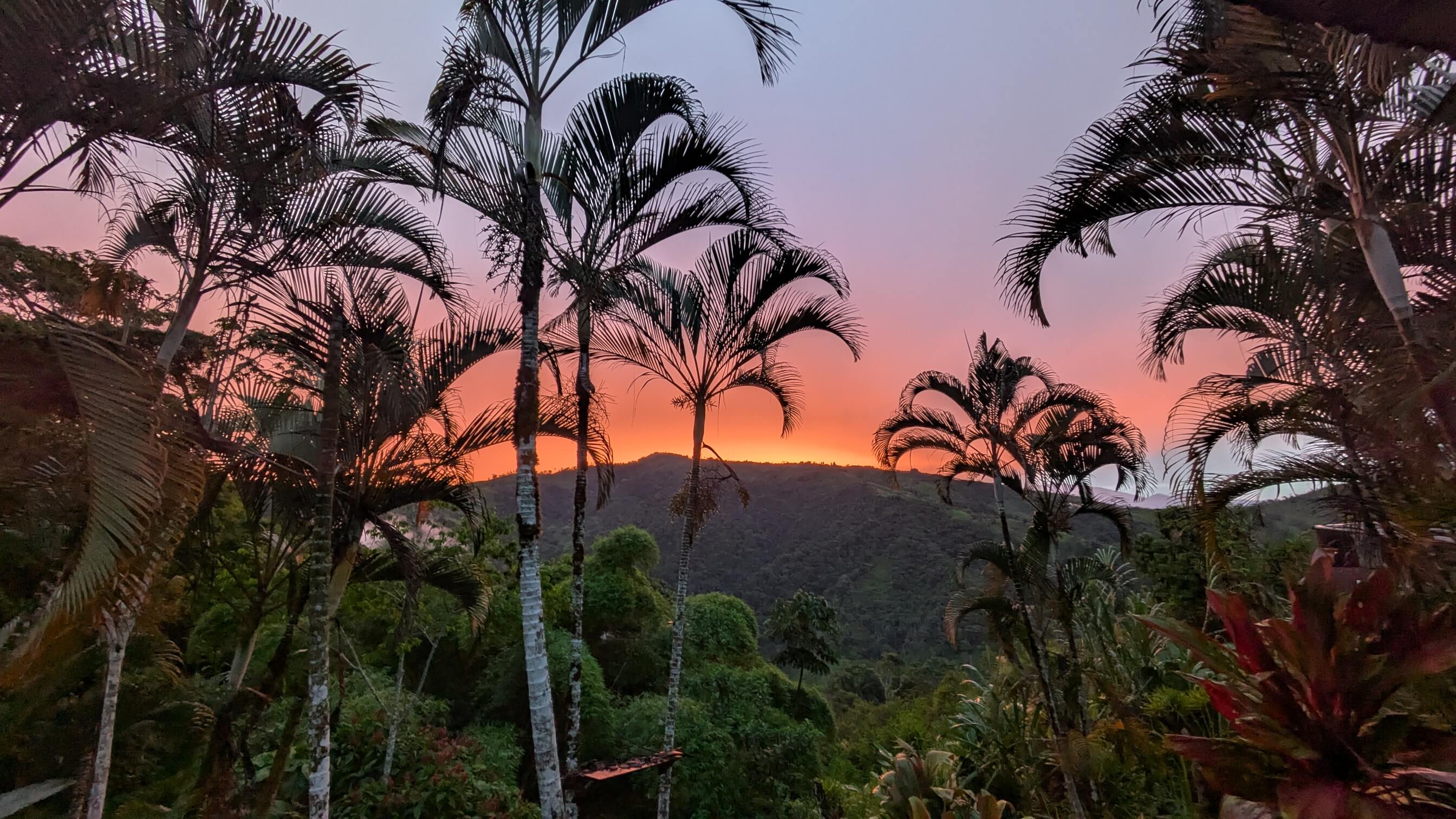 Insider Exploration Tour